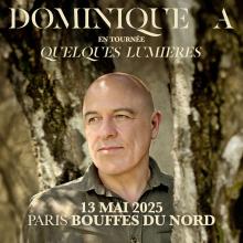 dominique a