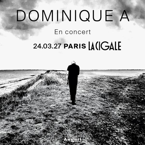 DOMINIQUE A 